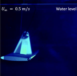 Morphing blade in water flume